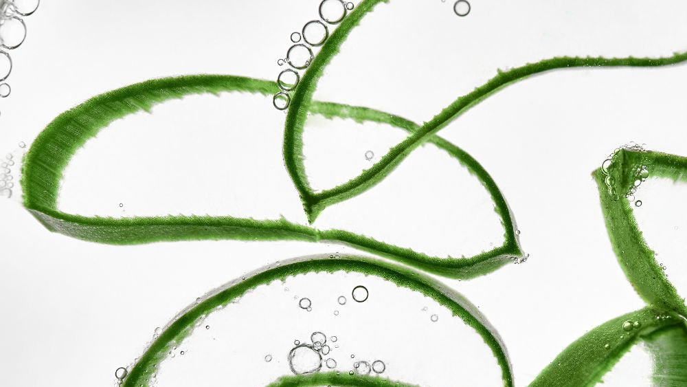 vegane Anti-Aging Kosmetik aus Deutschland